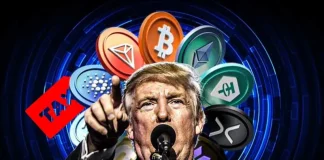 Crypto Market Soars on Rumors of Trump’s 0% Tax Policy for Digital Assets