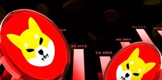 Shiba Inu Price Feb 2026: Will SHIB Rise Soon?